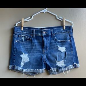 Joes Jean Shorts Phoebe Raw Hem size 29